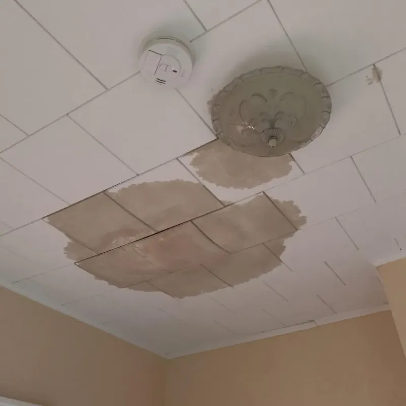 Ceiling Water Damage Repair in Granby, MO