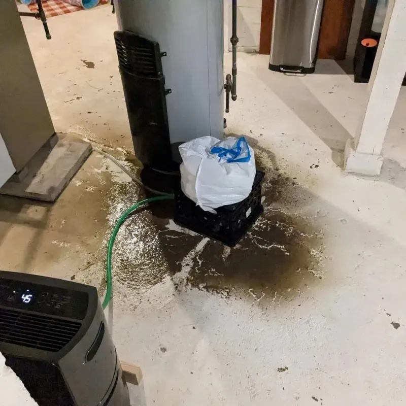 Sewage Backup Cleanup Service in Granby, MO